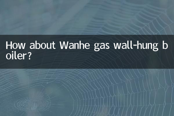 Wie wäre es mit einem Wanhe-Gas-Wandkessel?