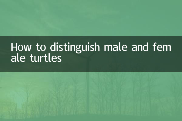 কিভাবে পুরুষ এবং মহিলা কচ্ছপ আলাদা করা যায়