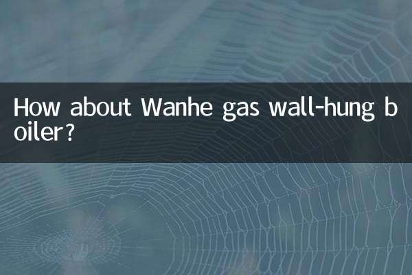 Que diriez-vous de la chaudière murale à gaz Wanhe ?