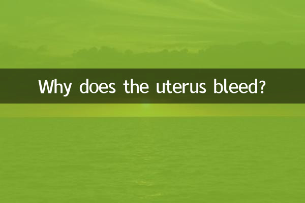 ¿Por qué sangra el útero?