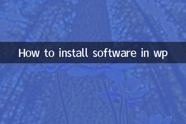 wp에 소프트웨어를 설치하는 방법