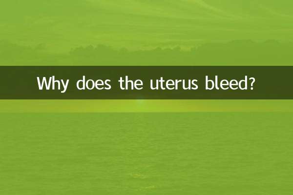 ¿Por qué sangra el útero?