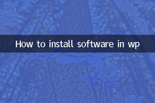 wp에 소프트웨어를 설치하는 방법