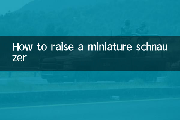 미니어쳐 슈나우저 키우는 방법