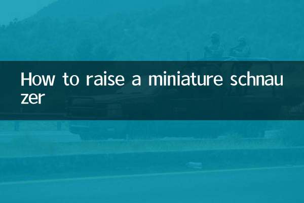 미니어쳐 슈나우저 키우는 방법