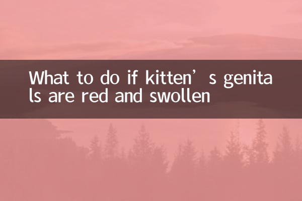 What to do if kitten’s genitals are red and swollen