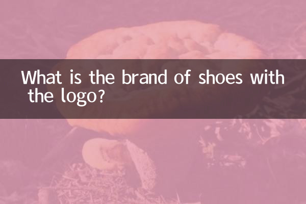Qual è la marca delle scarpe con il logo?