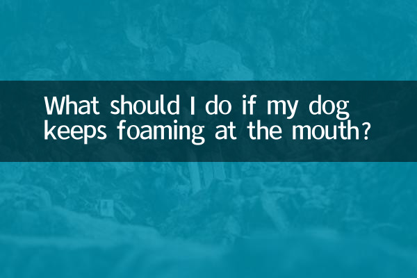আমার কুকুরের মুখে ফেনা উঠলে আমার কী করা উচিত?