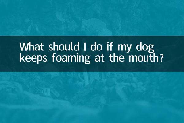 আমার কুকুরের মুখে ফেনা উঠলে আমার কী করা উচিত?