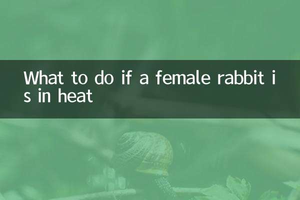 Que faire si une lapine est en chaleur