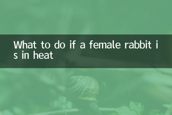 Que faire si une lapine est en chaleur