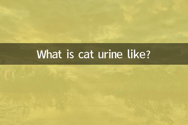 貓貓的尿怎麼是