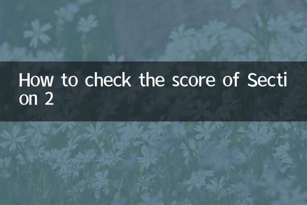 كيفية التحقق من نتيجة القسم 2