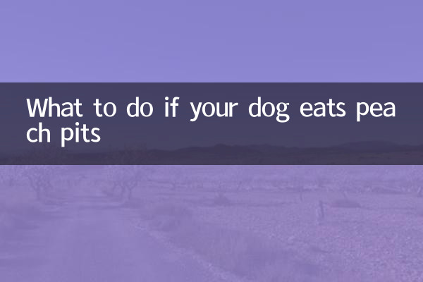 Was tun, wenn Ihr Hund Pfirsichkerne frisst?