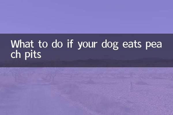 Was tun, wenn Ihr Hund Pfirsichkerne frisst?