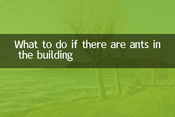 What to do if there are ants in the building