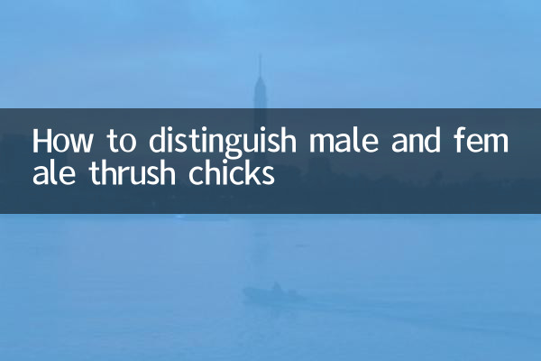 Как отличить птенцов дрозда мужского и женского пола