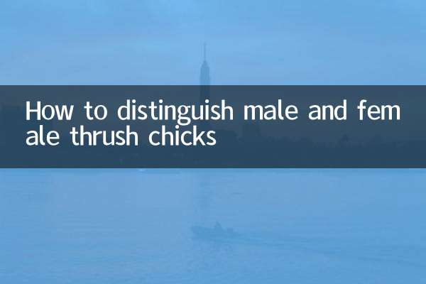 画眉幼鸟怎么分公母