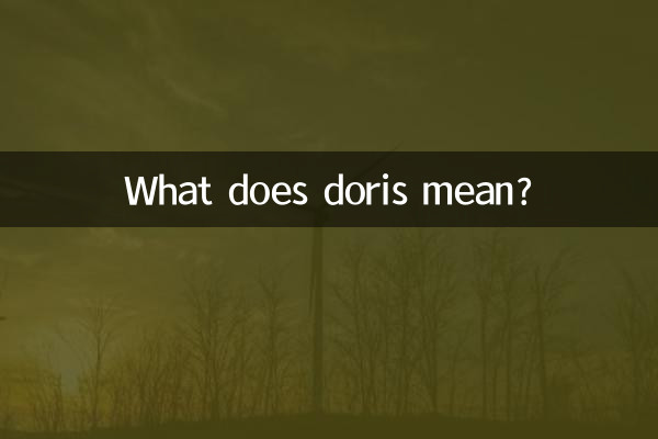 doris什么意思