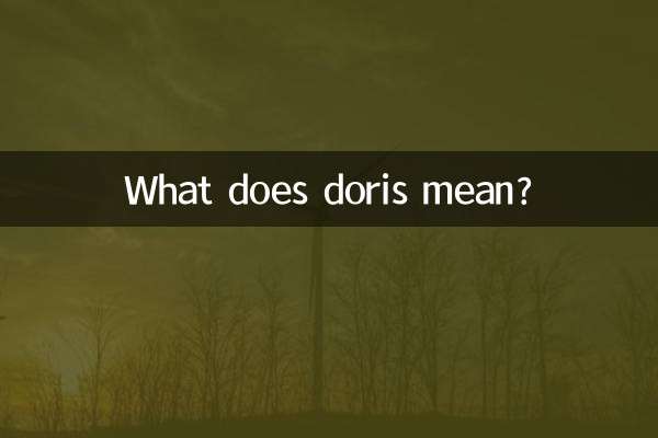 doris什么意思