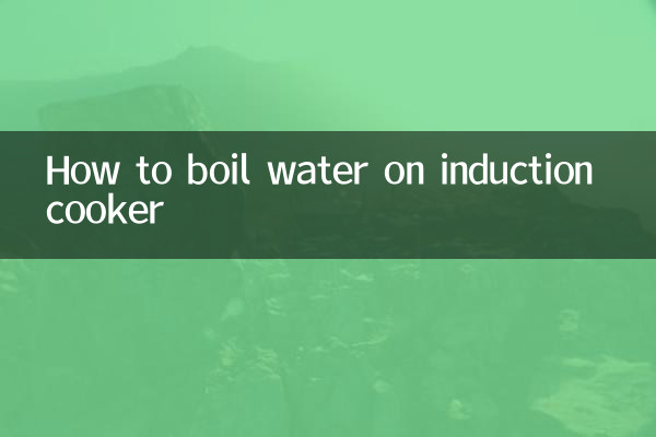 인덕션 쿠커로 물 끓이는 방법