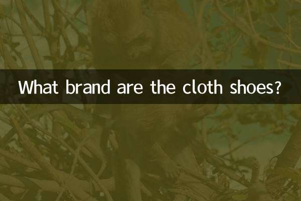 کفش های پارچه ای چه مارکی هستند؟