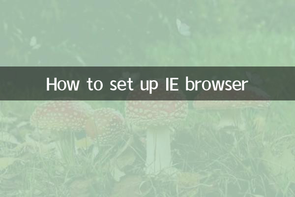 How to set up IE browser