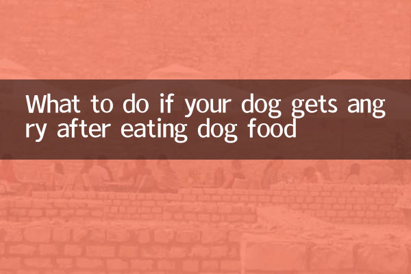 Que faire si votre chien se met en colère après avoir mangé de la nourriture pour chien