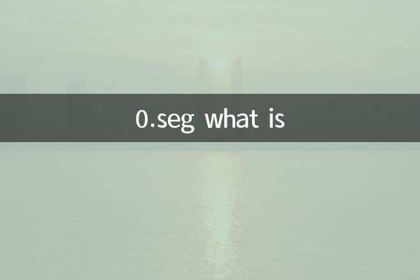 0.seg是什麼