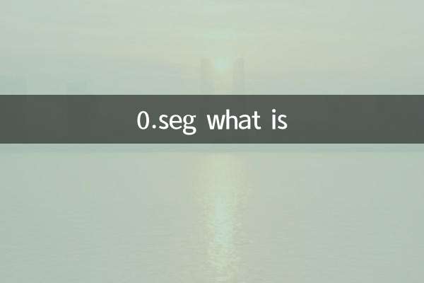 0.セグとは何ですか