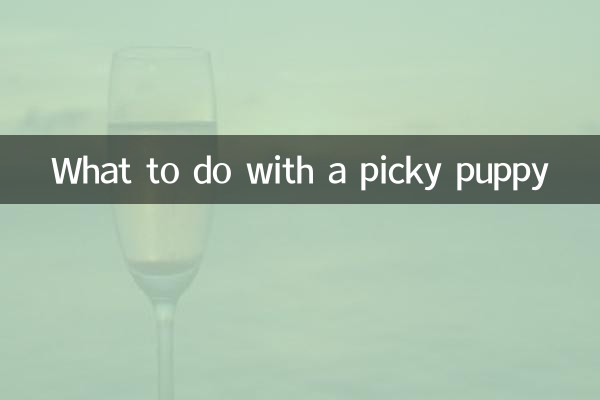 挑食的小狗怎么办