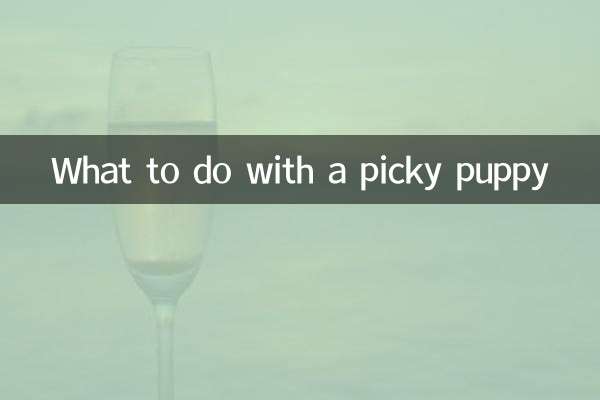 O que fazer com um cachorrinho exigente