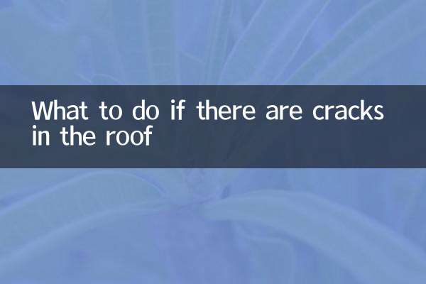 屋根に亀裂が入った場合の対処法
