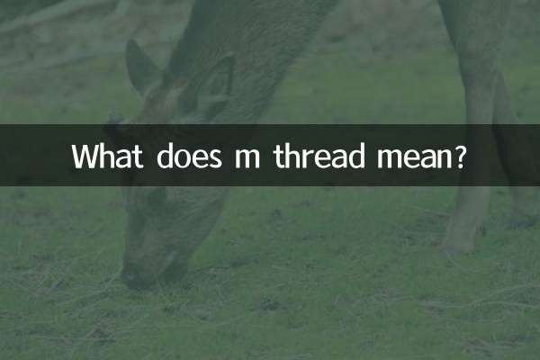 m 스레드는 무엇을 의미합니까?