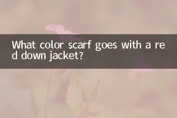 लाल डाउन जैकेट के साथ कौन सा रंग का दुपट्टा मेल खाता है?