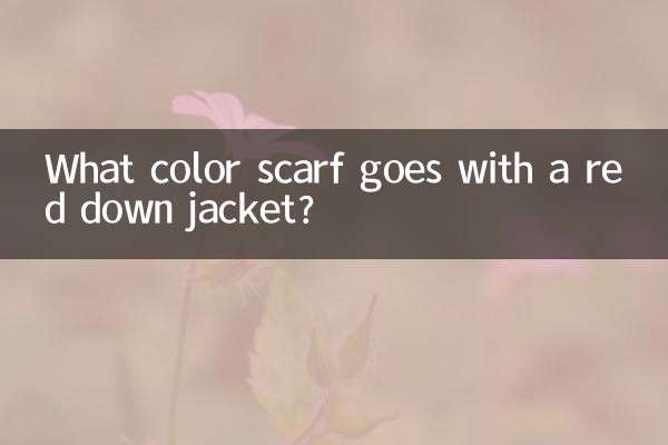 سرخ رنگ کی جیکٹ کے ساتھ کس رنگ کا اسکارف جاتا ہے؟