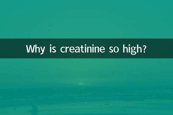 Why is creatinine so high?