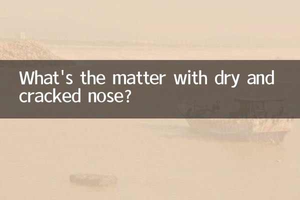 Qual é o problema do nariz seco e rachado?