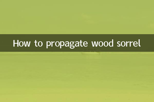 Comment propager l'oseille des bois