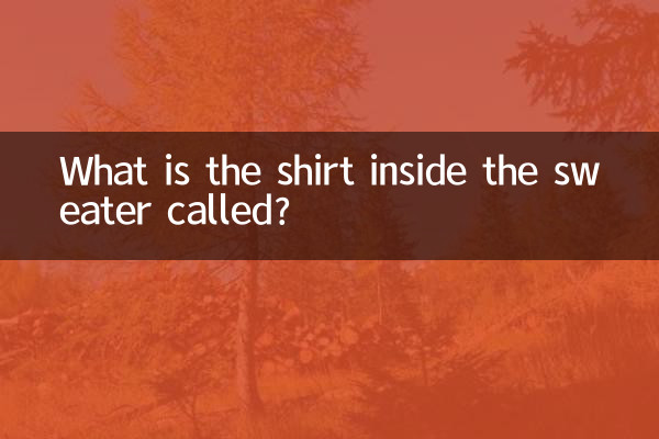Come si chiama la maglietta dentro il maglione?