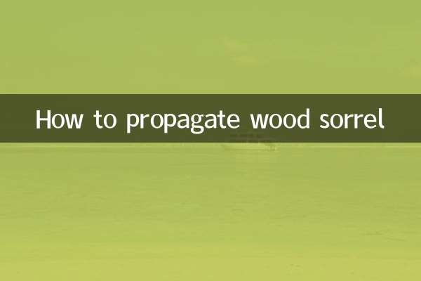 Comment propager l'oseille des bois