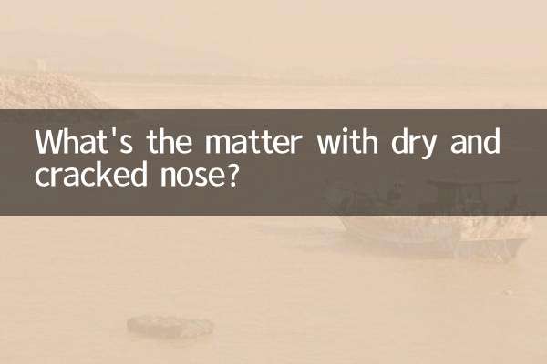 Qual é o problema do nariz seco e rachado?