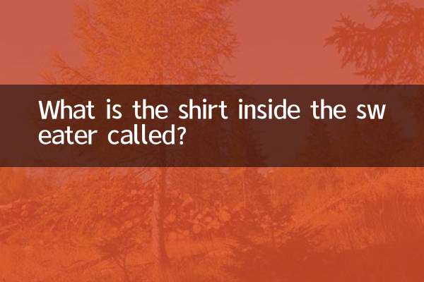 Come si chiama la maglietta dentro il maglione?
