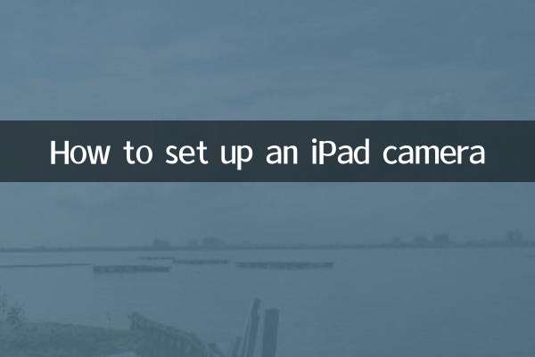 iPad 카메라를 설정하는 방법
