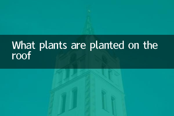 Quais plantas são plantadas no telhado