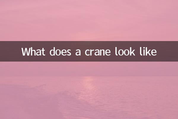 What does a crane look like
