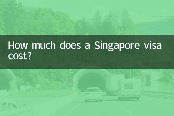 How much does a Singapore visa cost?