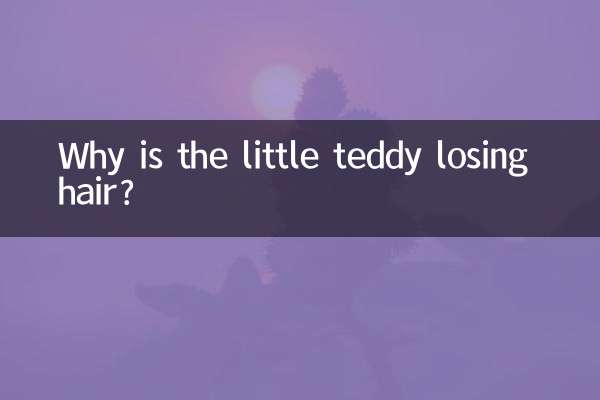Warum verliert der kleine Teddy Haare?