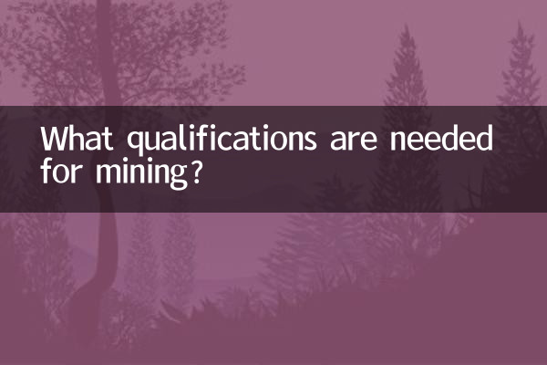Quais qualificações são necessárias para a mineração?