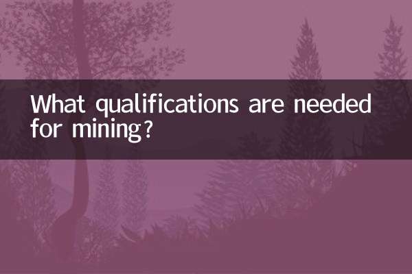 ¿Qué calificaciones se necesitan para la minería?